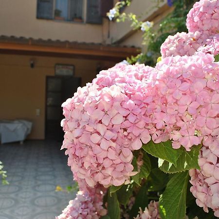 Hotel La Pineta 阿尔博里亚 外观 照片