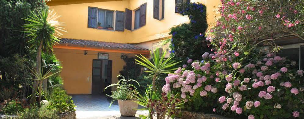 Hotel La Pineta 阿尔博里亚 外观 照片